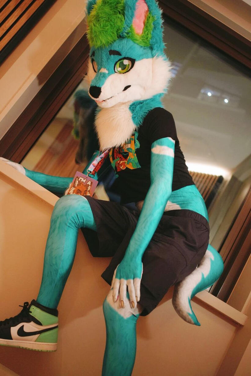 Petsuit fox! (At Aurawra 2025)