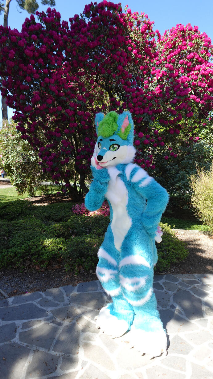 ๐ธ: Alex. Spring 2024