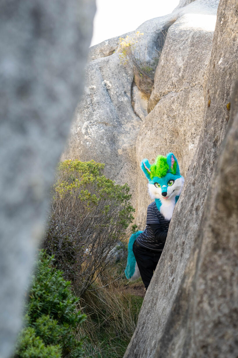 ๐ธ: Rocket. Akaroa