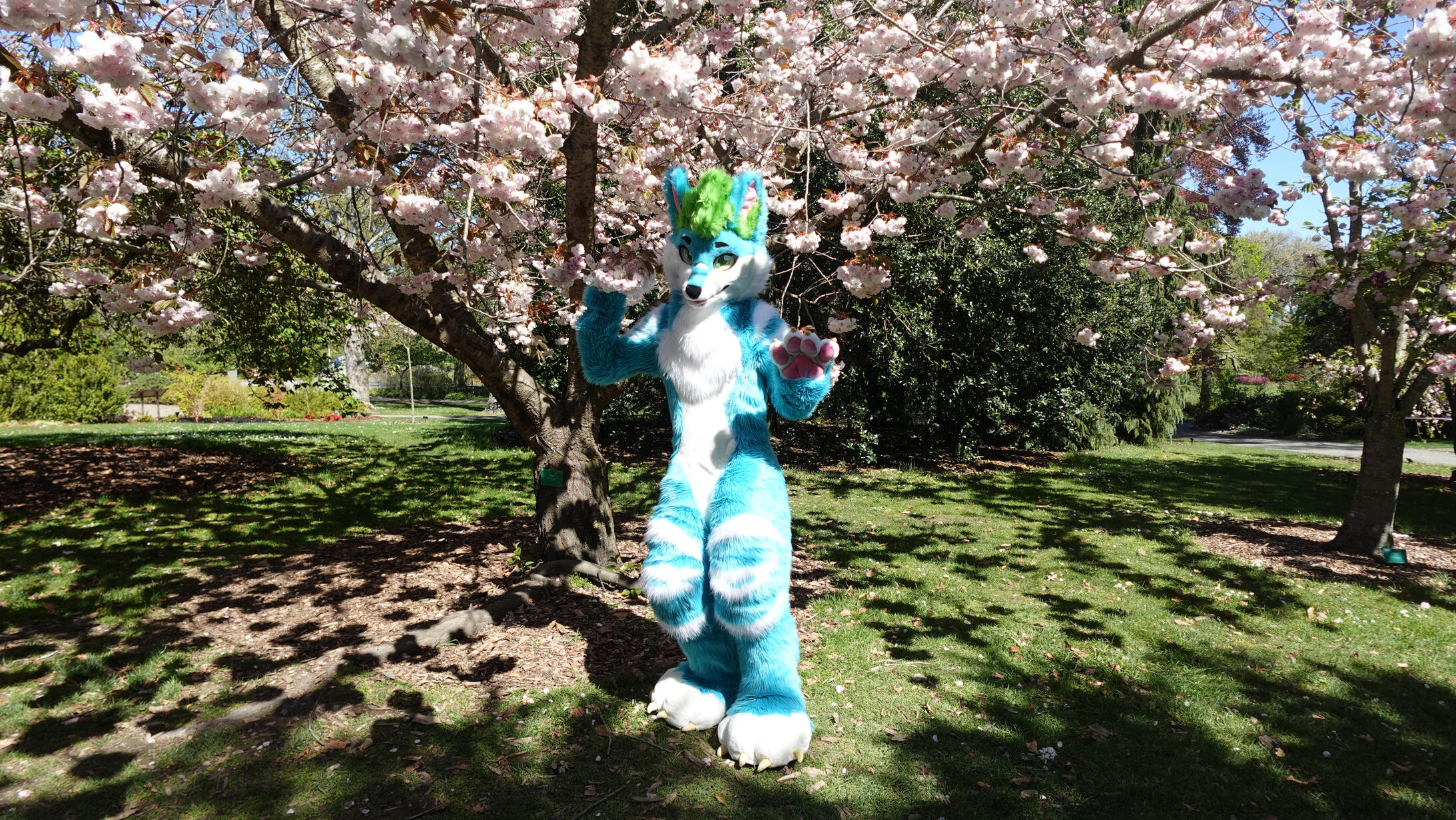 ๐ธ: Alex. Spring 2024