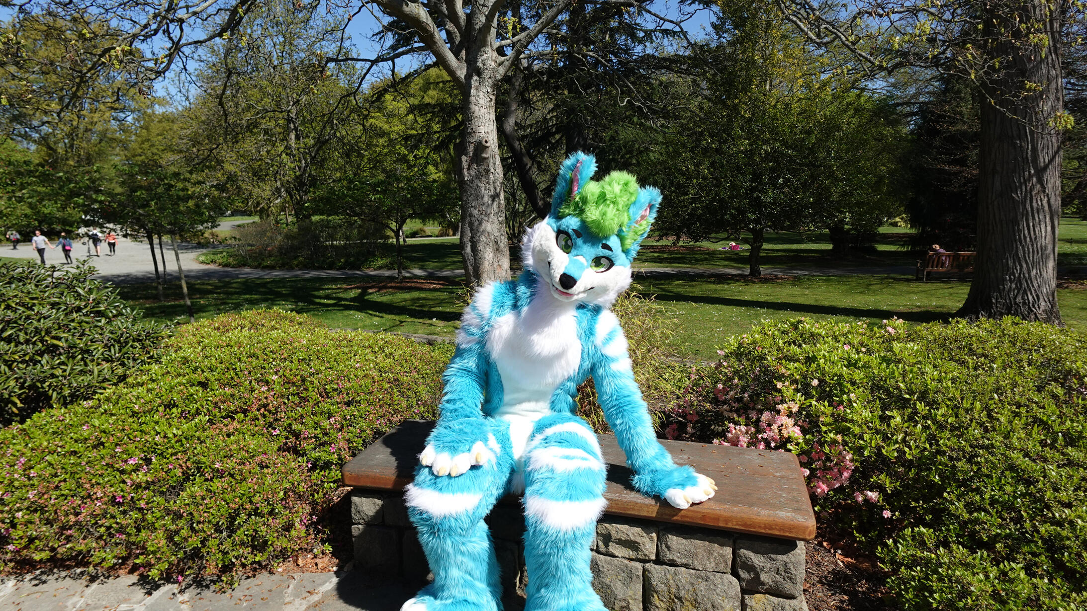 ๐ธ: Alex. Spring 2024